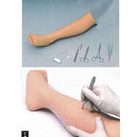 高級外科縫合腿模型